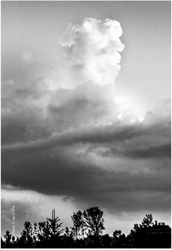 Thunderhead Fergus On2