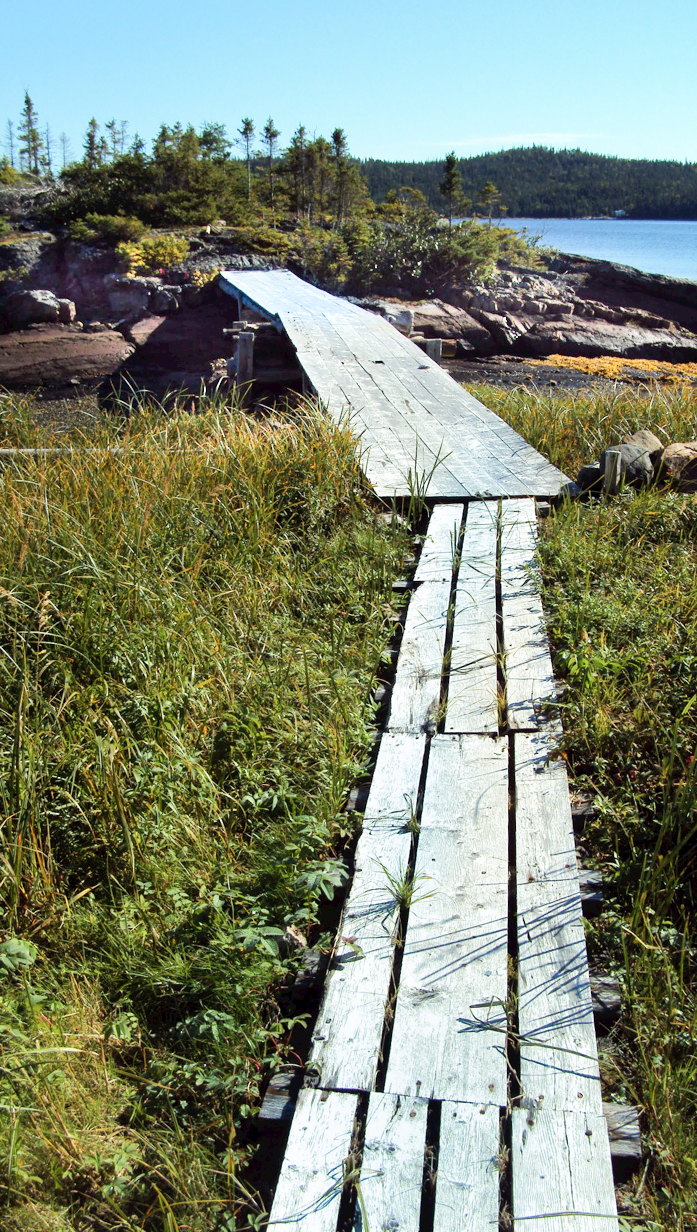 Boreal ForestOceanside